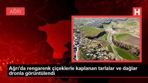 Ağrı’da rengarenk çiçeklerle kaplanan tarlalar ve dağlar dronla görüntülendi