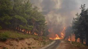 Karaman yangını söndürüldü mü? Karaman yangını son durum ne? Karaman’daki yangın söndü mü?