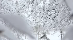 Muş’ta okullar tatil mi? Bugün Muş’ta kar tatili ilan edildi mi? Hangi vilayetlerde kar tatili var, vilayet il ilçe ilçe liste!