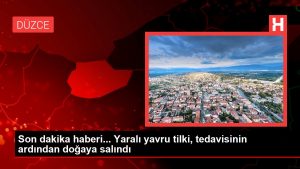 Son dakika haberi… Yaralı yavru tilki, tedavisinin akabinde tabiata salındı