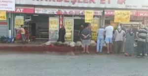 ADANA’DA KİMİ VATANDAŞLAR, KURBANLARINI SOKAKLARDA KESTİ