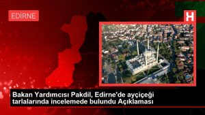 Bakan Yardımcısı Pakdil, Edirne’de ayçiçeği tarlalarında incelemede bulundu Açıklaması