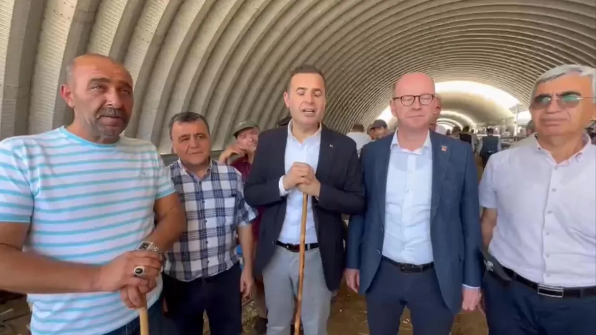 CHP Genel Lider Yardımcısı