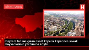 Bayram tatiline çıkan esnaf kepenk kapatınca sokak hayvanlarının yardımına koştu