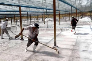 Bunaltıcı sıcaklar 3 bin yıllık “Kemah tuzu”na rahmet getirdi