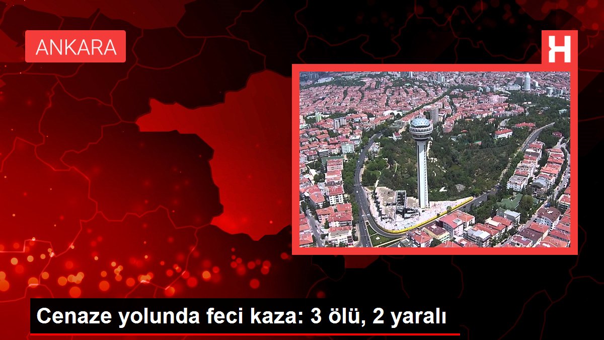 Malatya'nın Akçadağ ilçesinde şoförünün