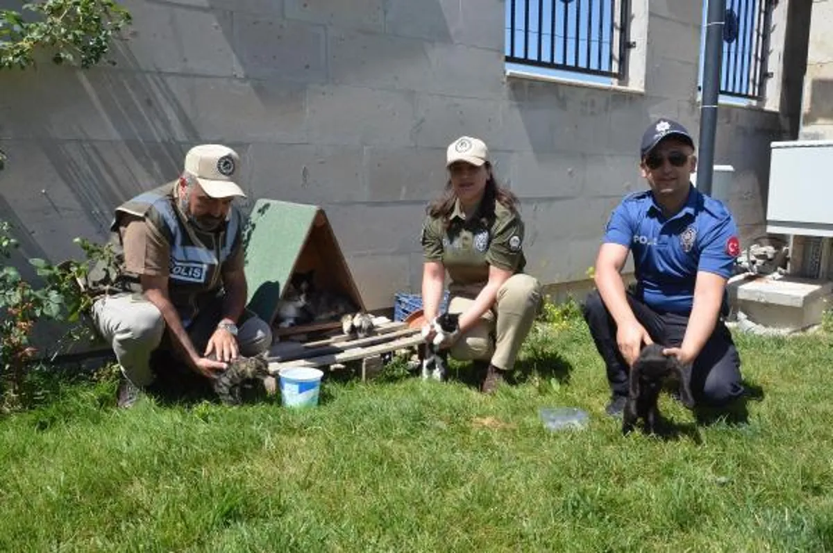 KÜTAHYA kent girişindeki polis