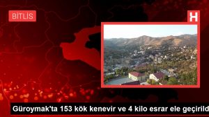 Güroymak’ta 153 kök kenevir ve 4 kilo esrar ele geçirildi