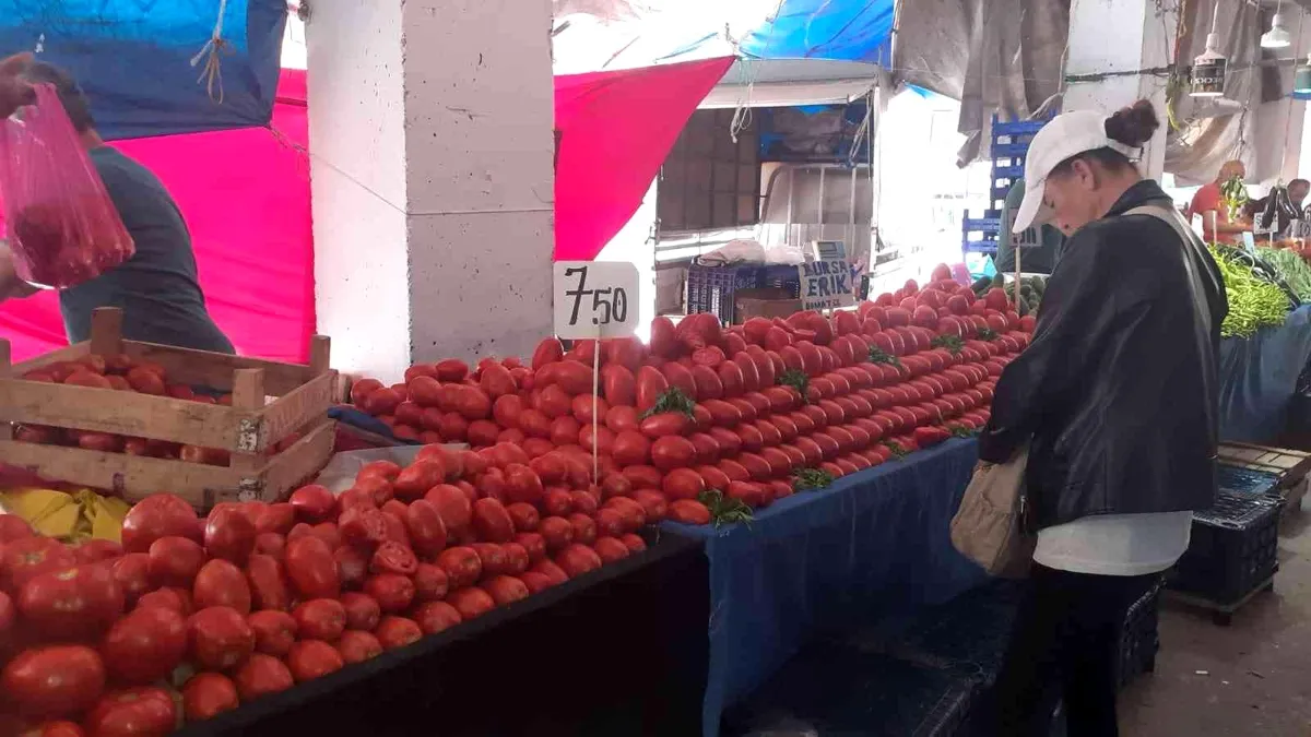 Zonguldak'ta yaz aylarının gelmesi