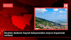 İbrahim dedenin hayrat bahçesinden meyve koparmak hür