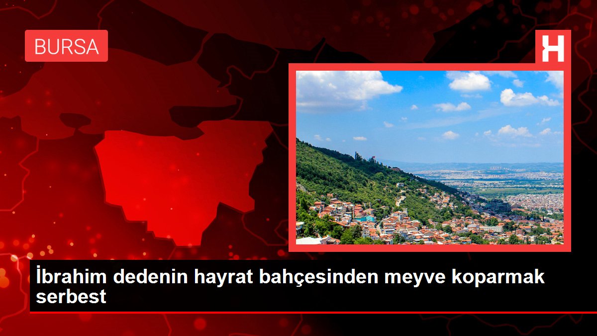 Bursa'da bir baba ve