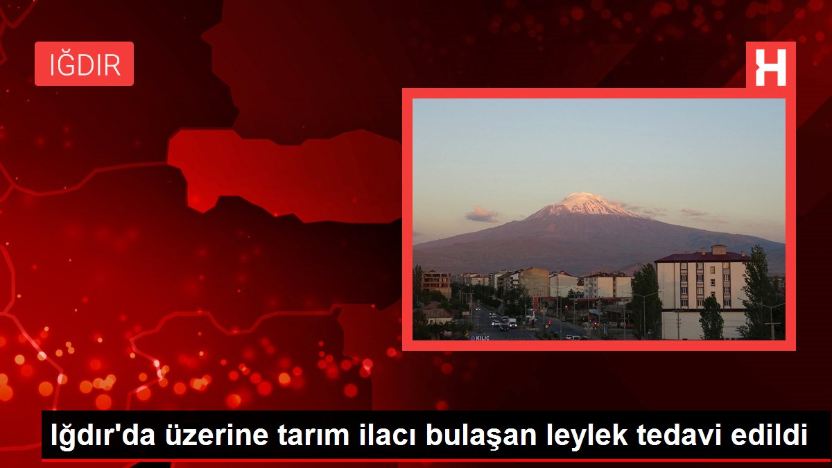 Iğdır'da zirai ilaca bulaştığı