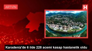 Karadeniz’de 6 vilayette 228 acemi kasap hastanelik oldu