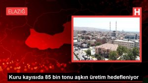 Kuru kayısıda 85 bin tonu aşkın üretim hedefleniyor