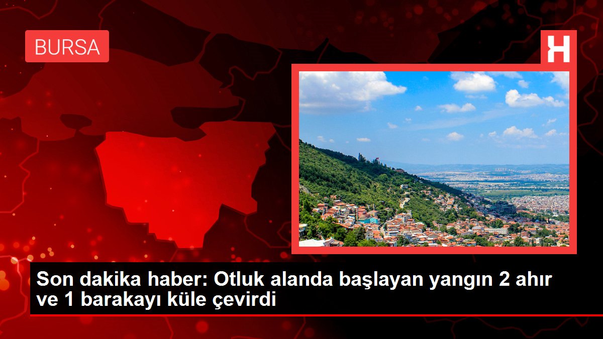 Bursa'da otluk alanda meydana