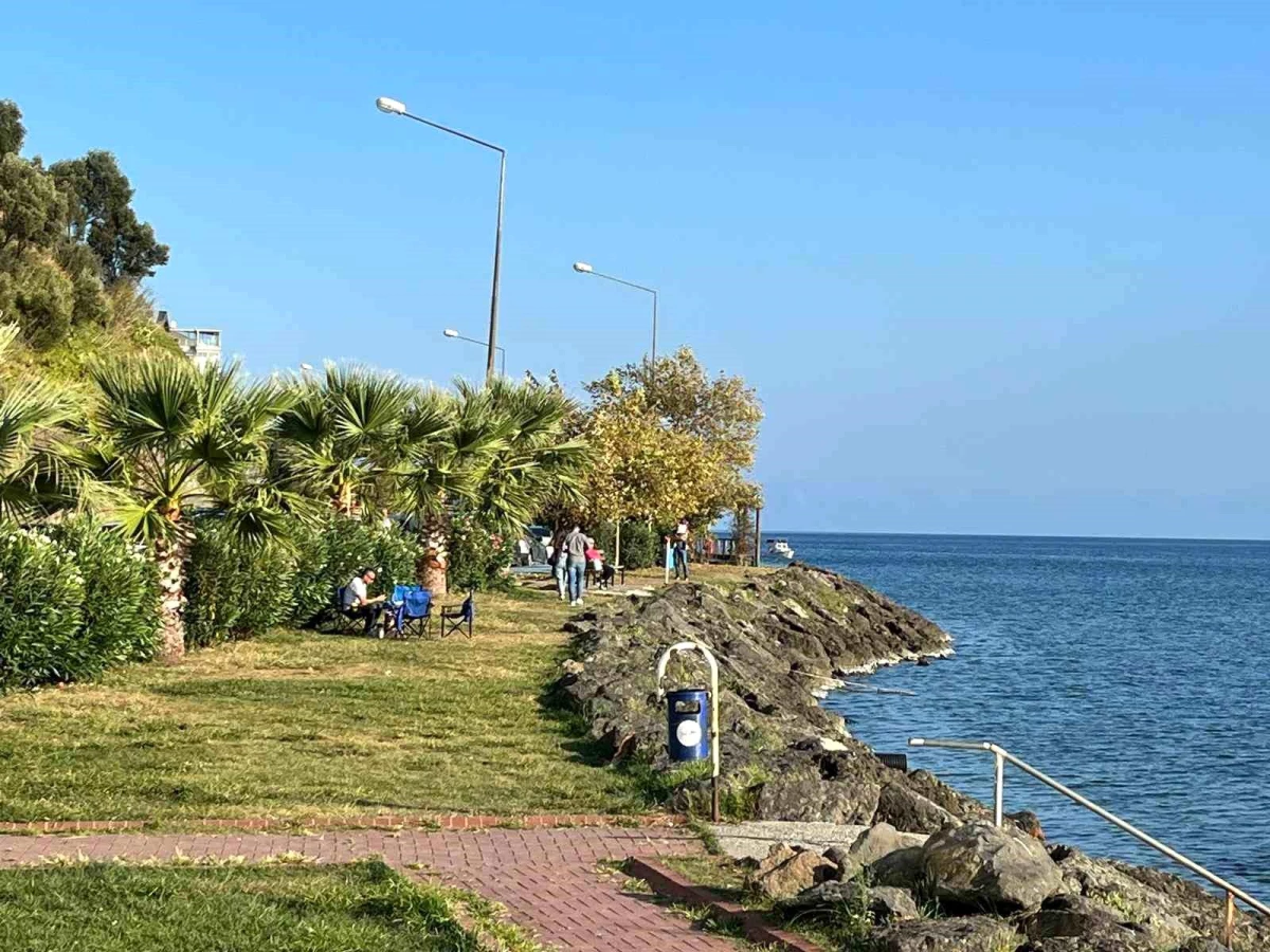 Sinop’un dış ticareti Ağustos ayında yüzde 26,1 arttı