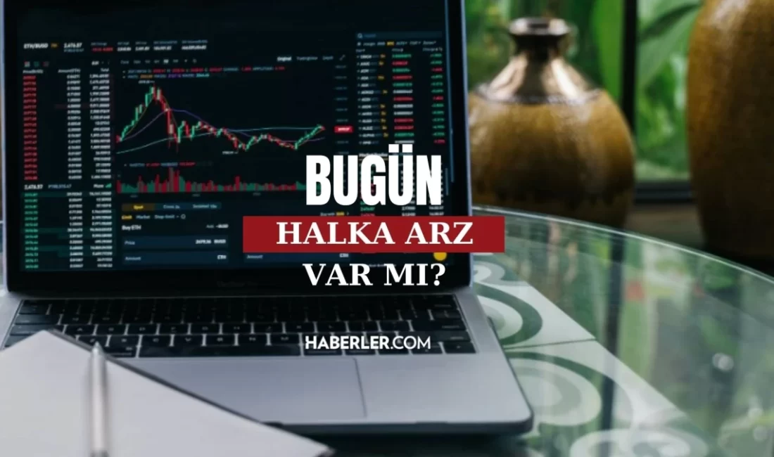 Halka arzlar ile ilgilenen