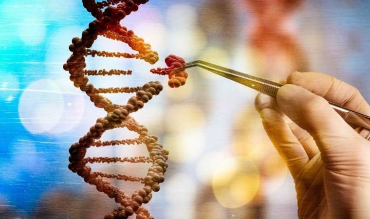 Dünyanın birinci CRISPR gen tedavisi onaylandı! Artık ne olacak?