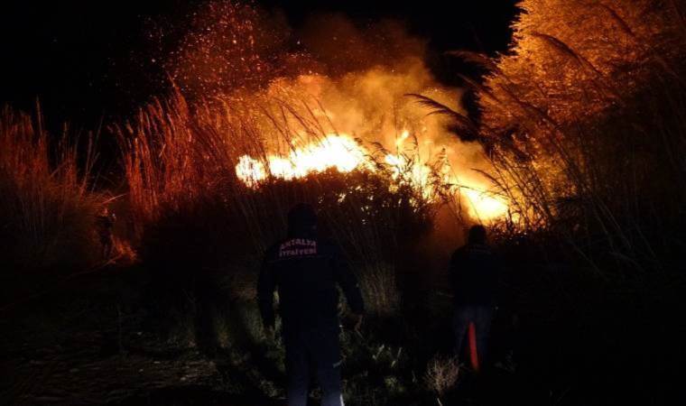 Antalya’da korkutan yangın… Söndürüldü, rüzgarın tesiriyle tekrar başladı!