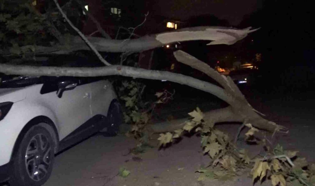 Bursa'nın Osmangazi ilçesinde gece