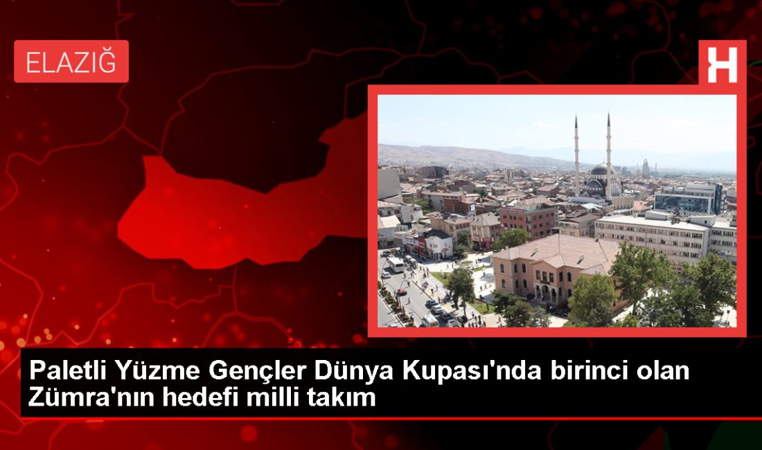 Elazığ'da ağabeylerine özenerek başladığı