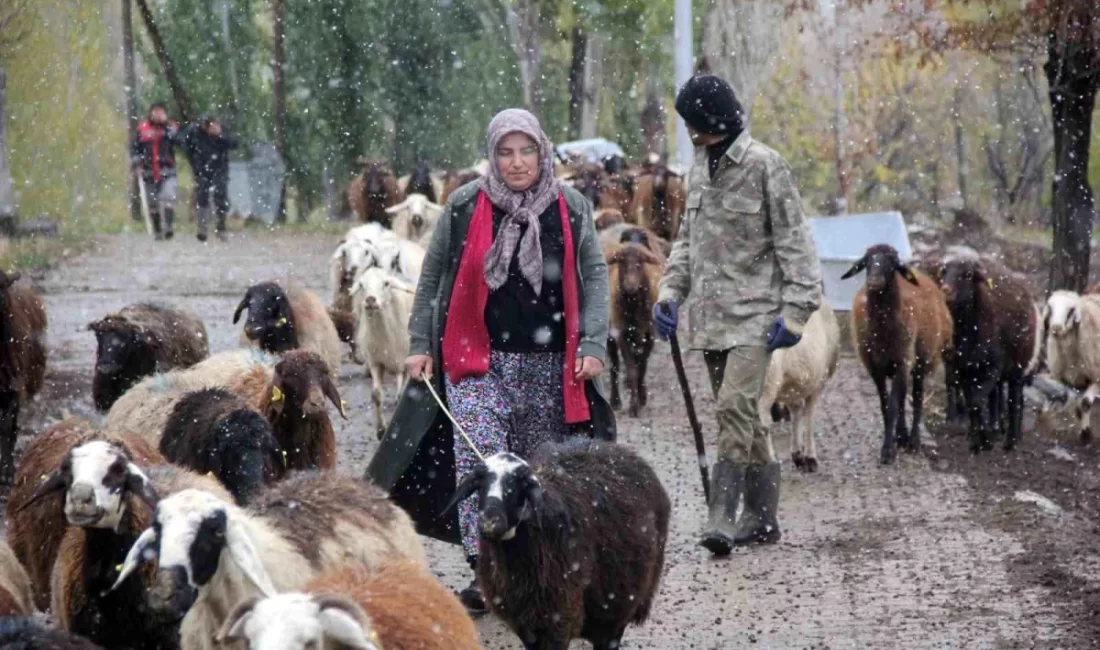 Erzincan'da hayata geçirilen 'Köyümde