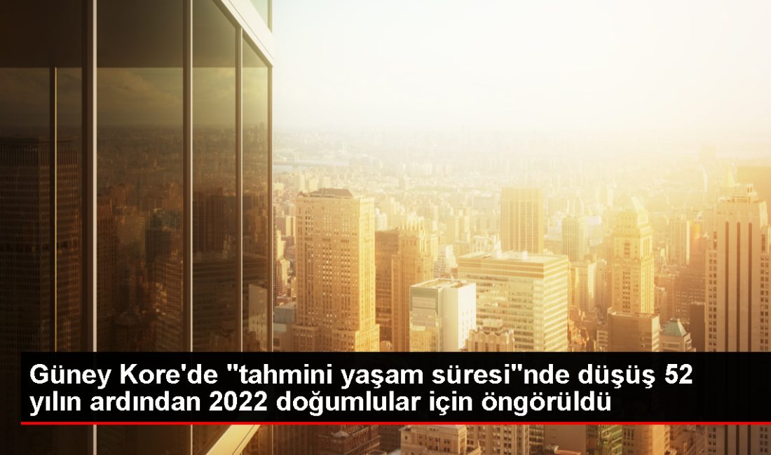 Güney Kore'de 2022'de doğanların