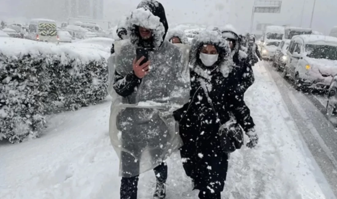 Tekirdağ'ın Erciş'te kar yağışı