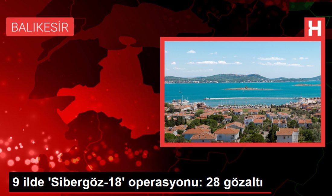 9 vilayette 'Sibergöz-18' operasyonu: