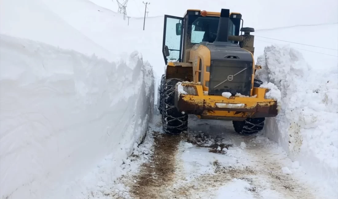 Bitlis'te tesirli olan kar