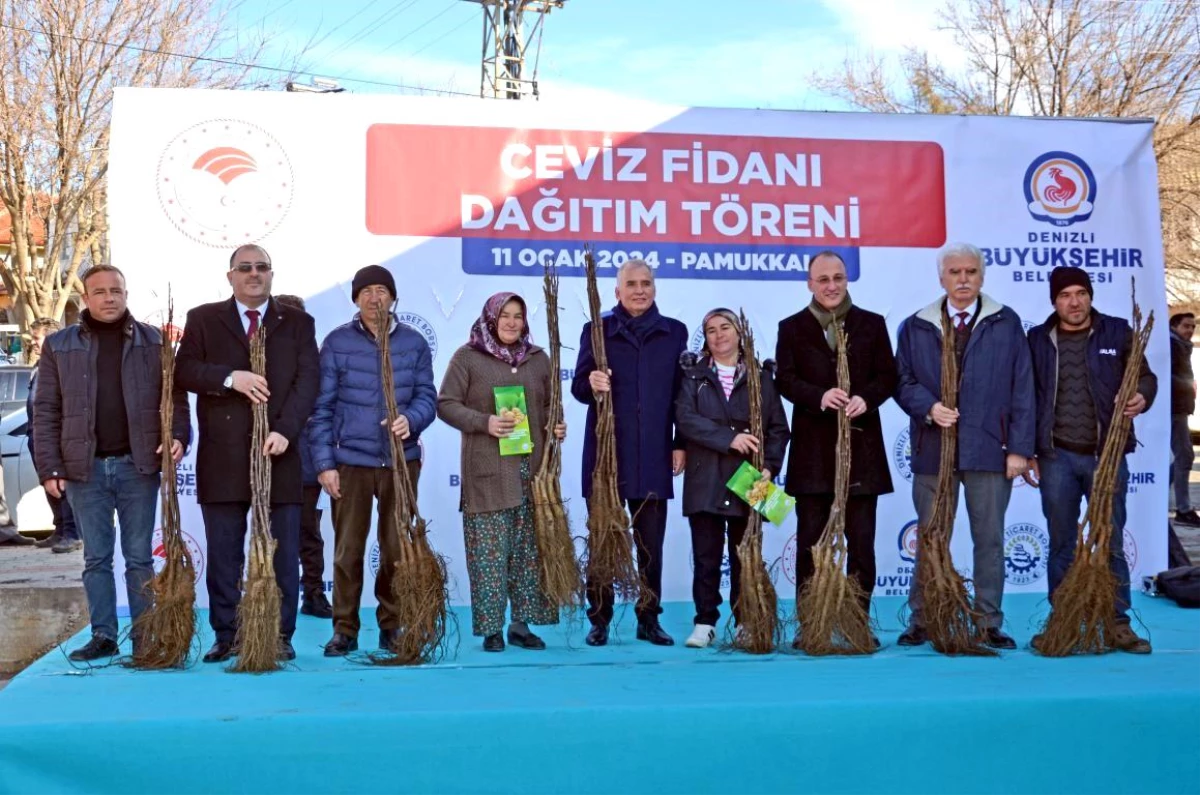 Denizli, Türkiye’nin Ceviz Başşehri Olma Yolunda İlerliyor