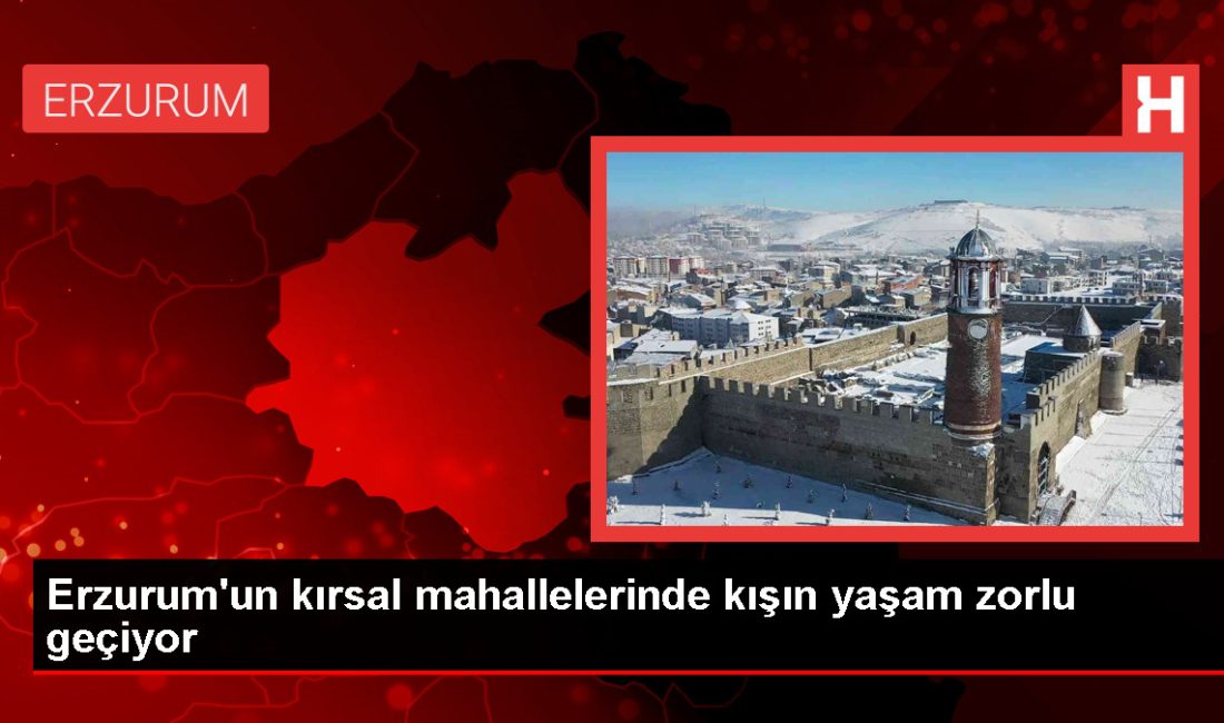 Erzurum'un kırsal mahallelerinde kış