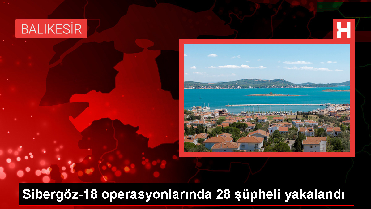 İçişleri Bakanı: Sibergöz-18 Operasyonunda 28 Zanlı Gözaltına Alındı