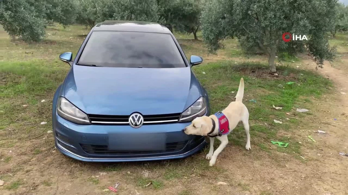 Mikrodalgadan bile uyuşturucu çıktı, 2 kuşkulu tutuklandı