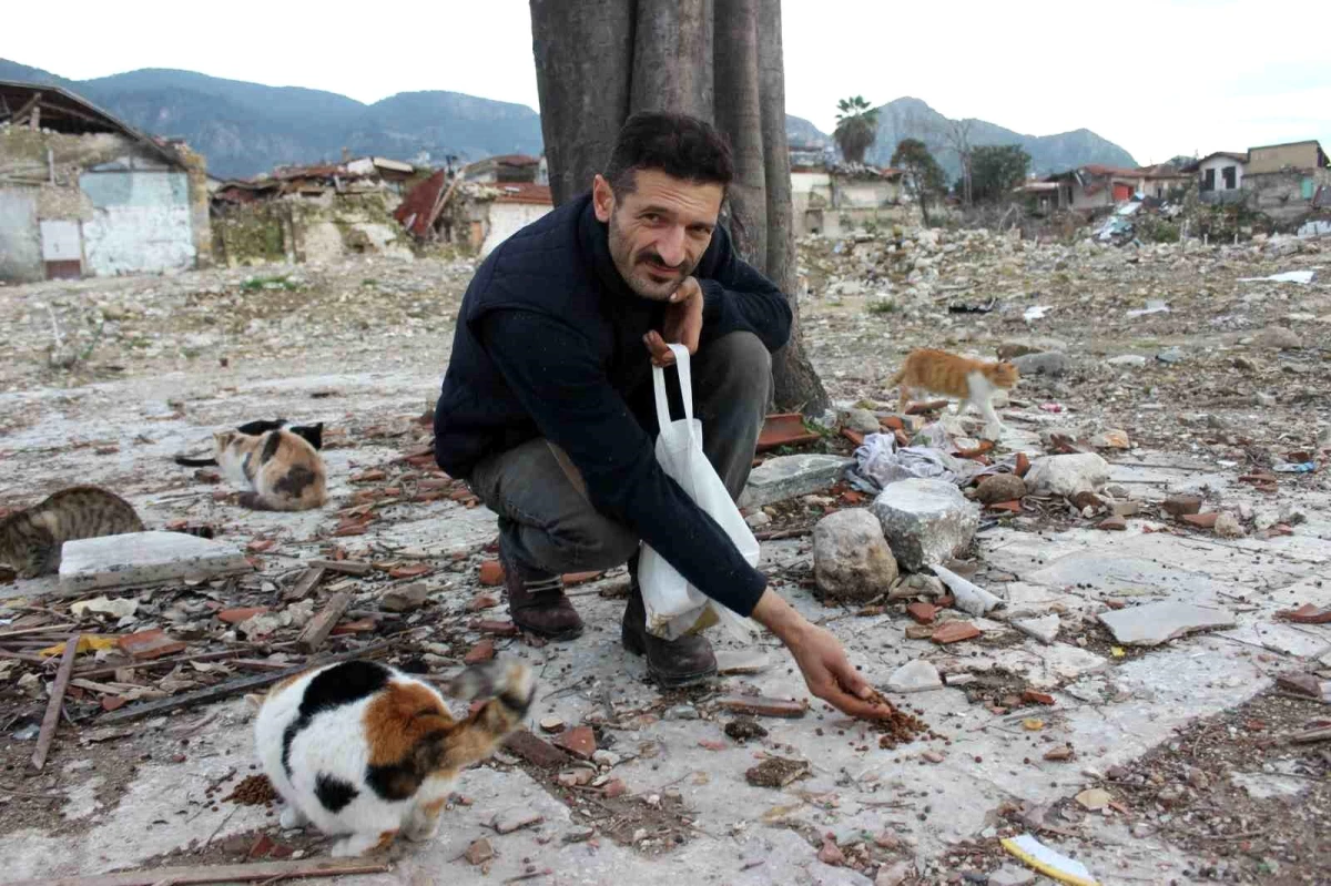 Zelzelenin Vurduğu Hatay’da Sokak Hayvanlarına Yardım