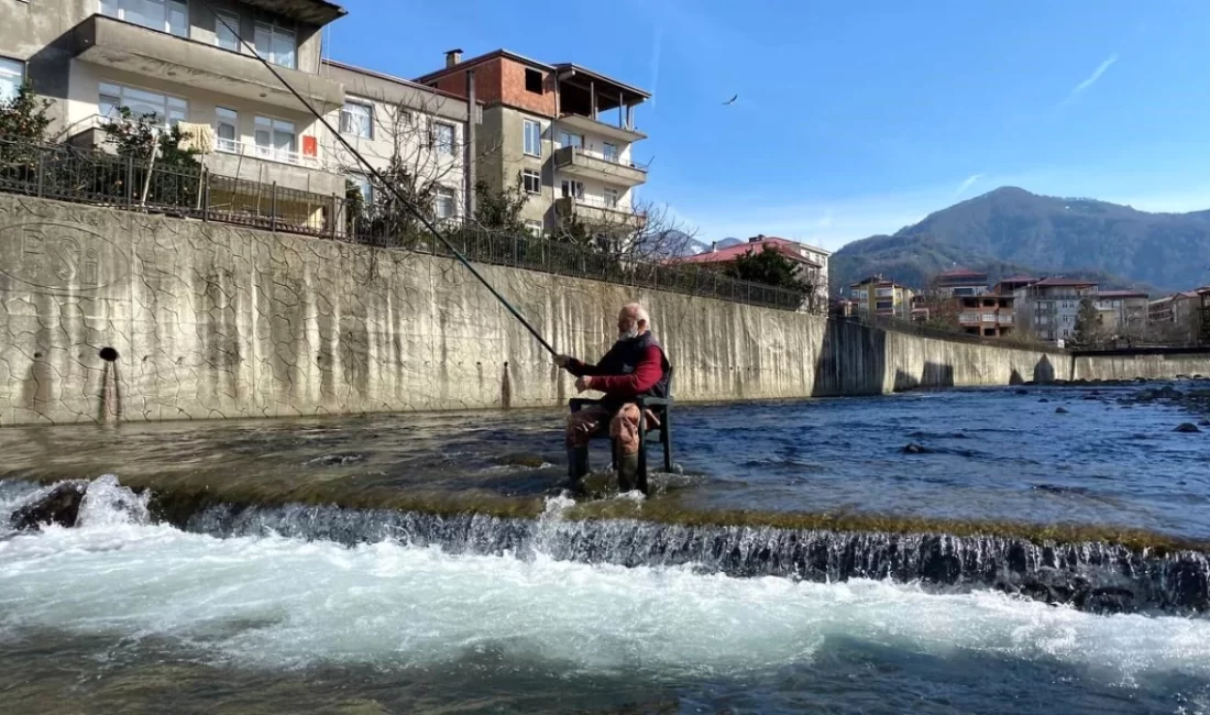 Artvin'in Kemalpaşa ilçesinde bulunan