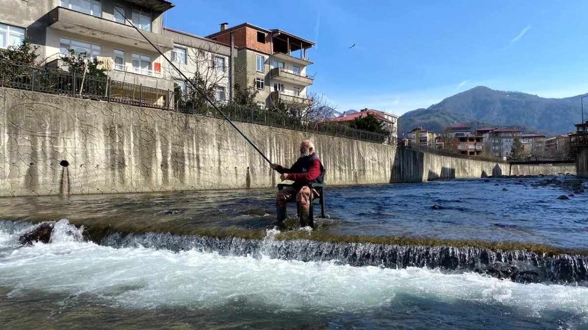 Amatör balıkçının sandalye ile balık avı toplumsal medyada gündem oldu