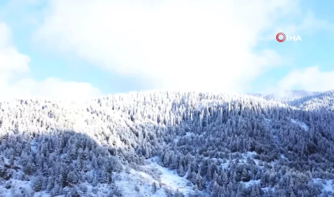 Beyaza bürünen Ilgaz Dağı'nın