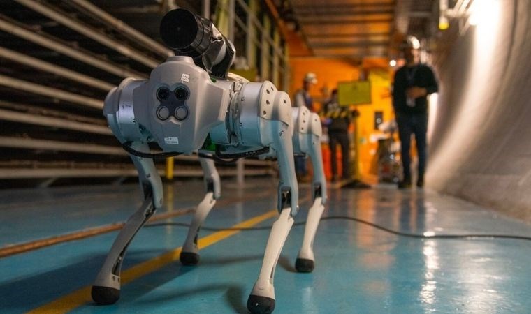 CERN’deki kuvvetli şartlara ahenk sağlayacak ‘robot köpek’