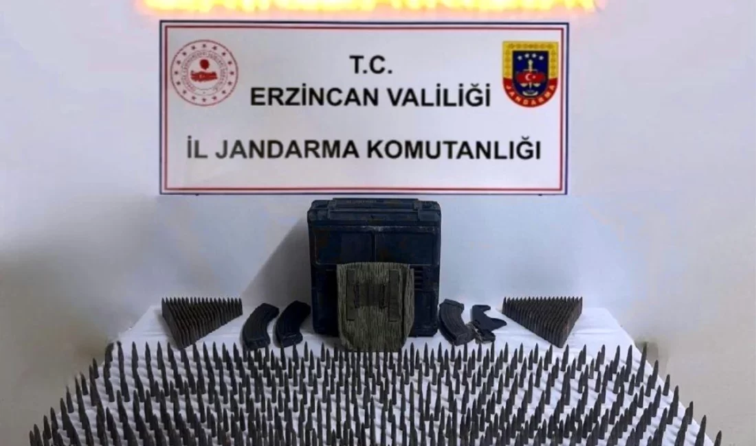 Erzincan'da jandarma gruplarınca yapılan