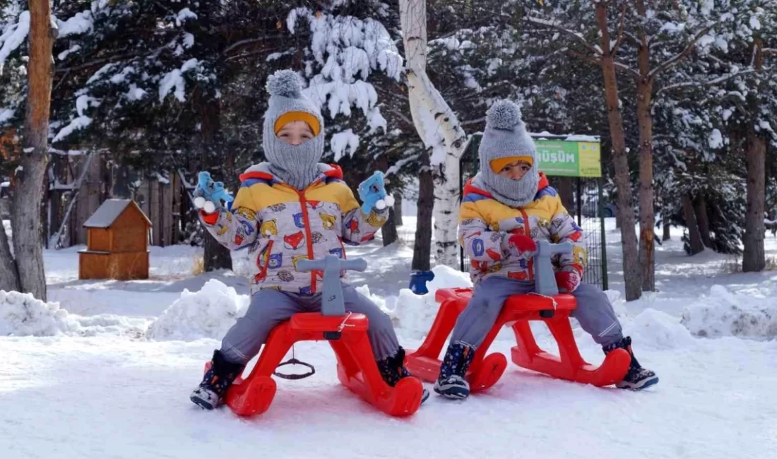 Erzurum'da kar yağışı sonrası