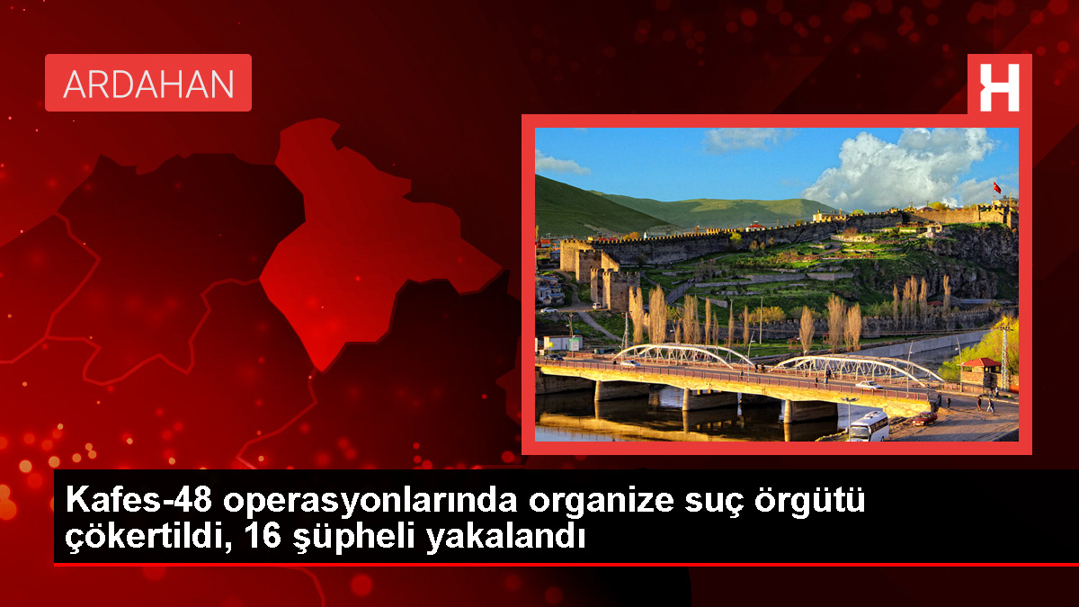 İçişleri Bakanı: Organize hata örgütü çökertildi, 16 kuşkulu yakalandı