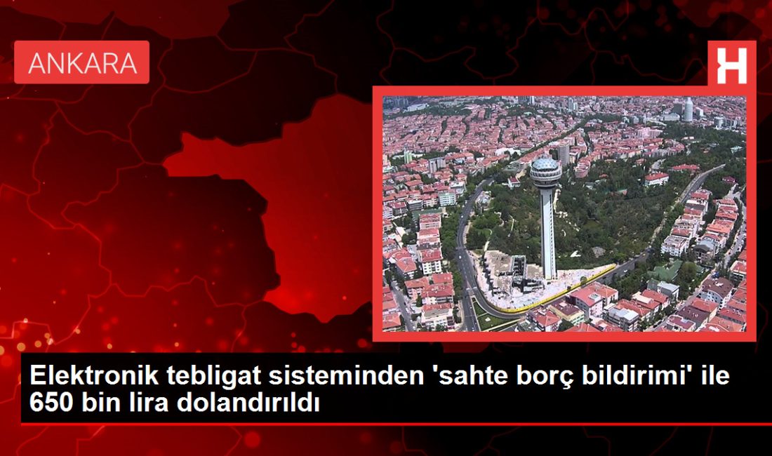 Konya'da bir kişi, Ulusal