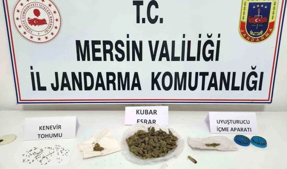 Mersin'in iki ilçesinde operasyon