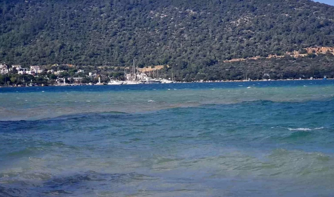 Muğla'nın Bodrum ilçesinde tesirli