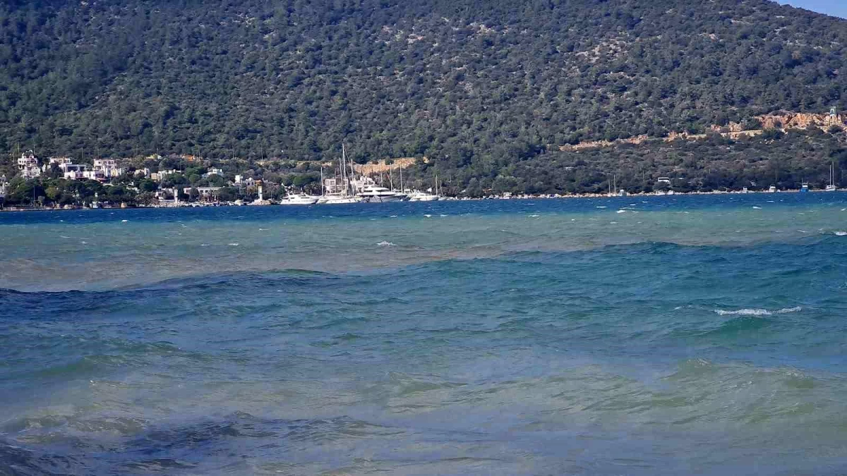 Muğla’nın Bodrum ilçesinde tesirli olan fırtına günlük hayatı olumsuz etkiledi