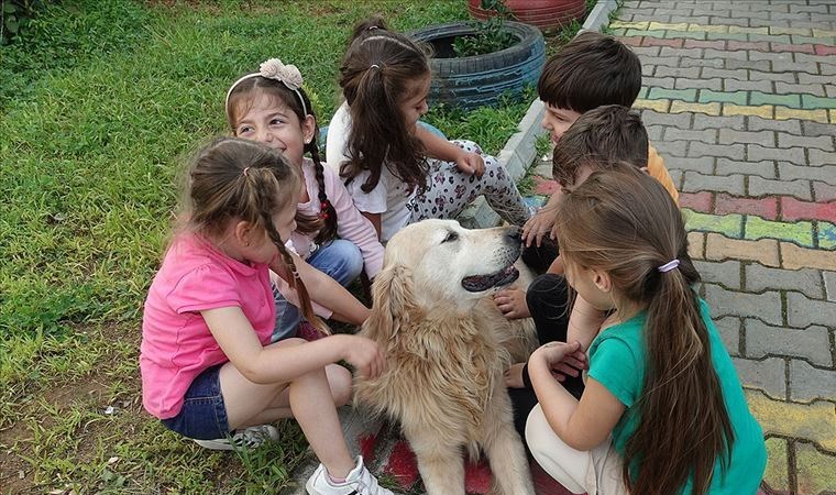 “Sosyalleşme tarafı zayıf çocuklara hayvan sevgisi aşılanması olumlu iyileşmelere yol açtığını göstermektedir”