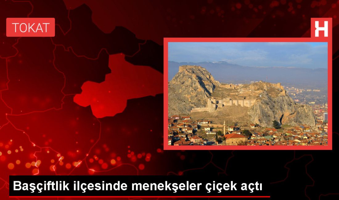 Tokat'ın Başçiftlik ilçesinde hava