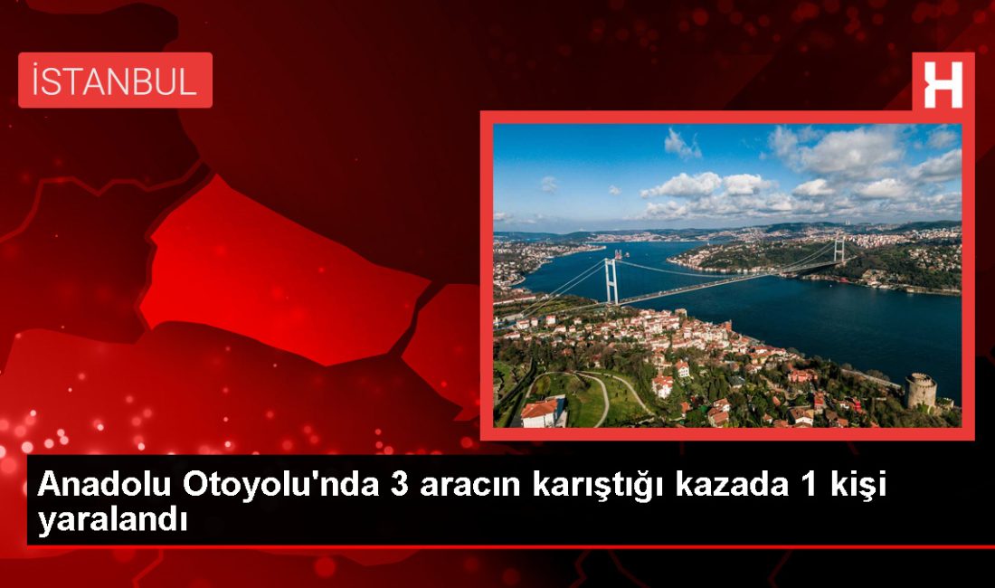 Anadolu Otoyolu'nun Kocaeli bölümünde