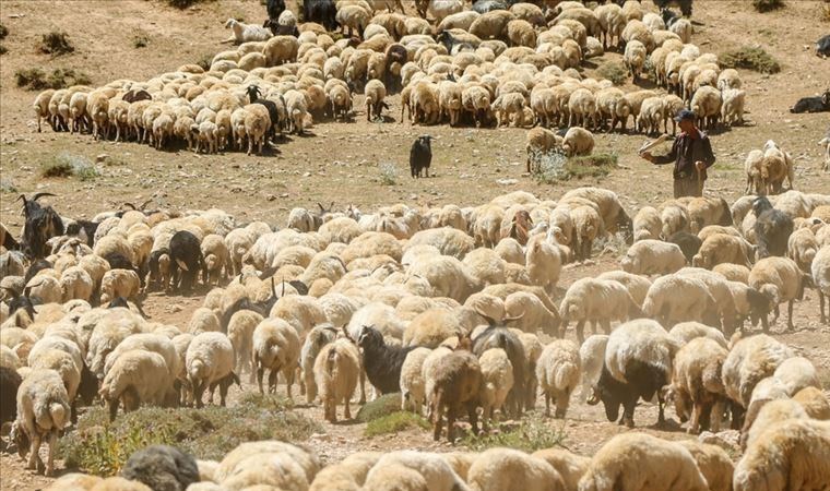 ‘Çare üreticiye destek’